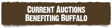 Current auctions benefiting buffalo