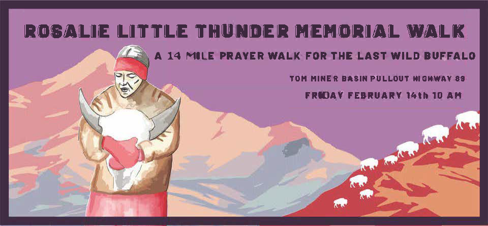 banner rosalie little thunder memorial walk 2020