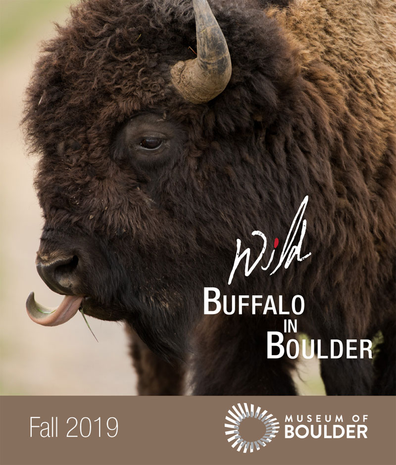 bfc wild buffalo in boulder september 2019 1