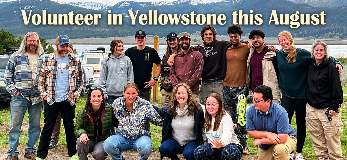 summer volunteers