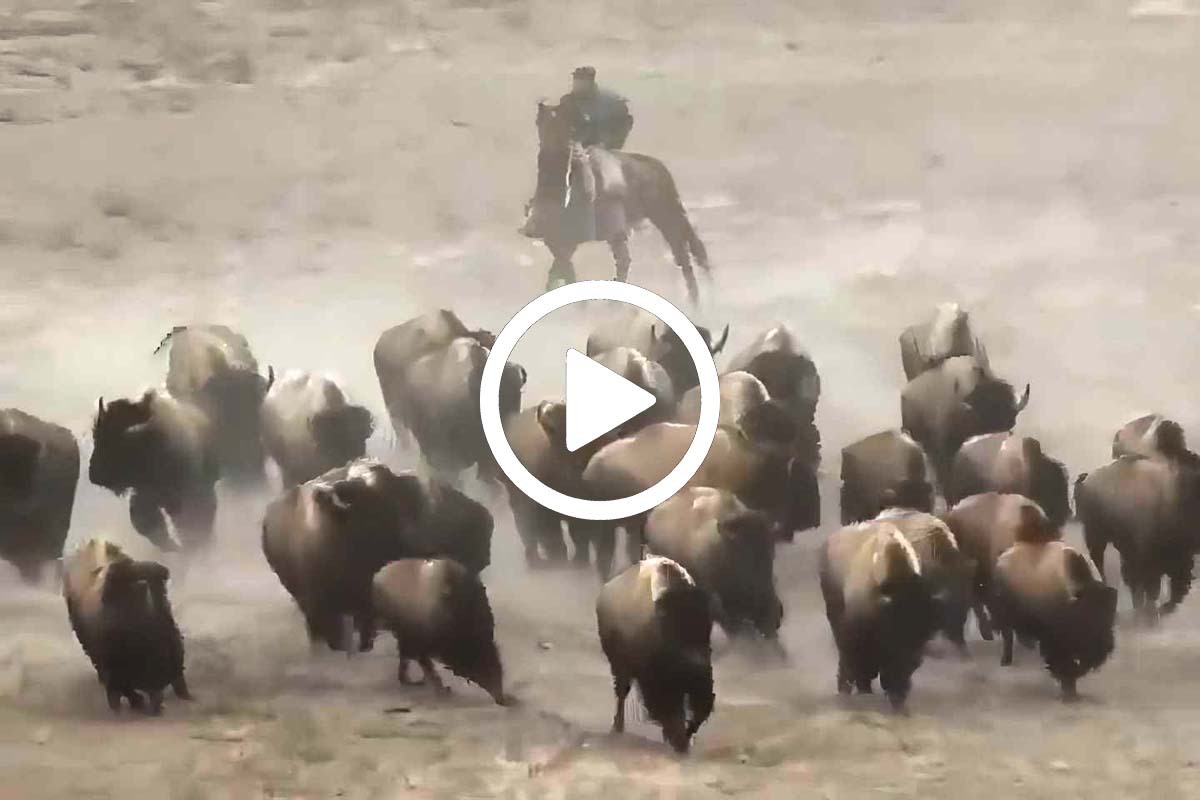 Welcome to Yellowstone National Park