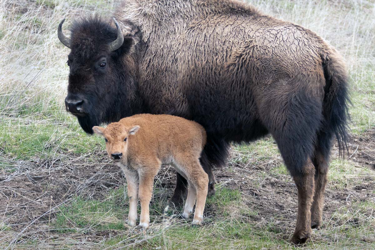 Mom & Babe Looking Forward