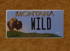 2016 21 10 004 01 Drive the Message Home with a BFC License Plate 230x170