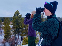 BFC Volunteers continue to be eyes and ears for the Buffalo as the management plan continues to fail our Last Wild Bison